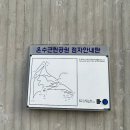 카페빈 | 서울 신정동 숲속뷰 카페 열방홀리빈카페 방문후기