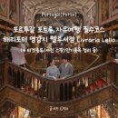 실버작은도서관 | 필수코스,렐루서점 Livraria Lello 오픈런 방문후기(실버 골드 티켓종류/사진 스팟/인기품목 정리) 해리...
