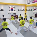 경희대 한율 태권도장 이미지