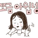 참솔편의점