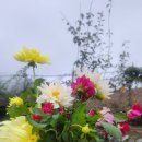 마령활력센터 이미지