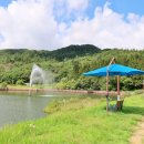 사양제 저수지2 이미지