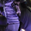 GS25영월고씨굴점 이미지