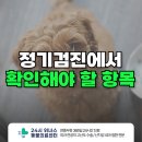 24시 위너스동물의료센터 이미지