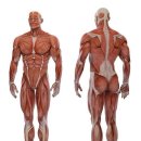 바디채널 동춘점 이미지