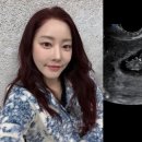 고우리 카카오 검색결과