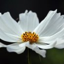 (주)씨포스트제주 티스토리
