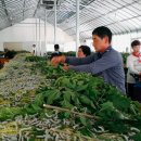 광형농장 이미지