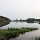 제천가축인공수정소 | 명승, 제천 의림지와 제림 (堤川 義林池와 堤林)