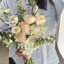 노원-상계-2088 이미지