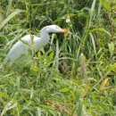 파주착한펜션 이미지