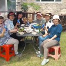 문정순농장 이미지