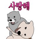 와이키키스시가게