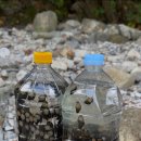 히어리캠핑장펜션 이미지