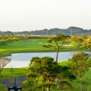 솔라고 골프연습장 이미지