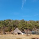 대곡천 | 울산 아이와 산책 대곡천 조선후기 정자 집청정 방문후기