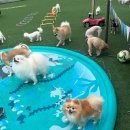 더 예쁘개 이미지