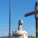 공룡화석지 | 고흥 여행_ 선소해안길, 멋진 해안길 드라이브 코스 끝에 만나는 <비봉공룡알화석지>