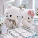한수지웨딩 | W1. 부산 웨딩밴드 계약 후기💍 | 범일동 예물샵 데시아 하람 (+할인코드 공유)