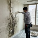 원천몰드 이미지