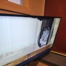 신등면사무소 | 10월 초 일기