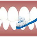 다라플란트치과의원 이미지