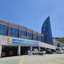 용인대 장안 태권도 이미지