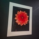 수성헬스클럽 | [공지] 대구 수성구 더월드짐 헬스클럽 1:1 PT 솔직 후기 🥇