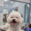 지개동산 이미지