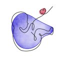 마음편안한의원 이미지