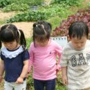 현준농장 이미지