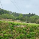 동광산업개발 | 세종시 연서면기룡리땅완전급매매