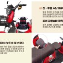 효심코리아 이미지