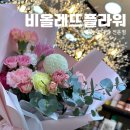 대전 둔산동 꽃집 비올레뜨 꽃다발 예약 후기, 싱싱한 꽃으로 감성 가득한 선물