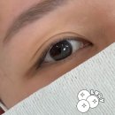 포인트 | 대전 속눈썹 잘하는 곳 대전대 용운동 밤하 펌 포인트 연장 후기