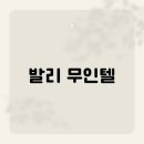 발리무인텔 이미지