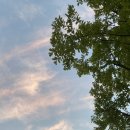 에그드랍(교동택지점) 이미지