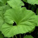 이수경희한의원 이미지