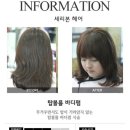 탑헤어라인 이미지