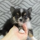 칠곡종합동물병원 이미지