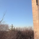 자미매운탕 이미지