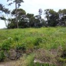 삼달교차로 1 이미지