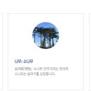 (주)구의유통 | 서울특별시 송파구(松坡區) 이름에 대한 유래와 역사: 백제의 시작부터 현대의 중심까지