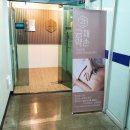 금채약손