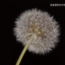 의료법인 산수의료재단 | 대전요양원 의료법인산수의료재단 대전요양원, 접근성 우수