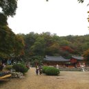 신창길2 이미지