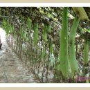 숲마을농원 이미지