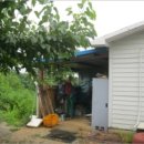 배방읍 호서로 이미지