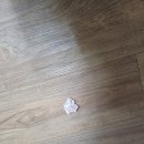 방천야시장 이미지