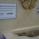 산토리니서울